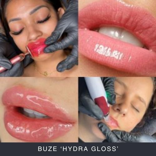 Buze 'Hydra Gloss' Curs Online