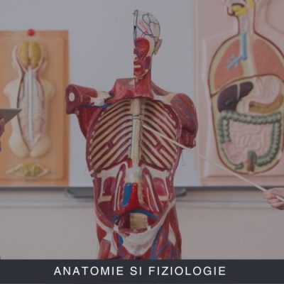 Anatomie si Fiziologie Curs Online