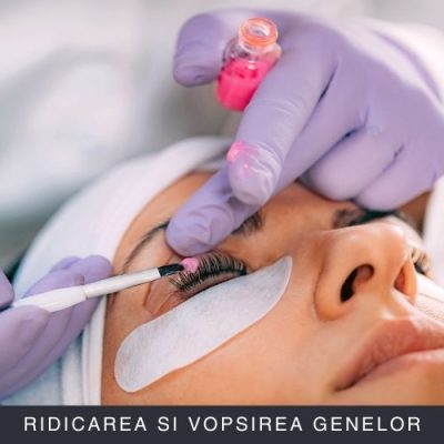 Lash Lift and Tint (Ridicarea si Vopsirea Genelor) Curs Online