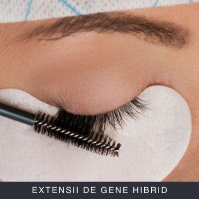 Extensii de Gene Hibrid Curs Online