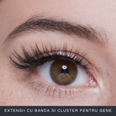 Extensii Cu Banda si Cluster Pentru Gene Curs Online