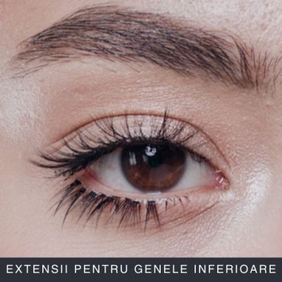 Extensii Pentru Genele Inferioare Curs Online