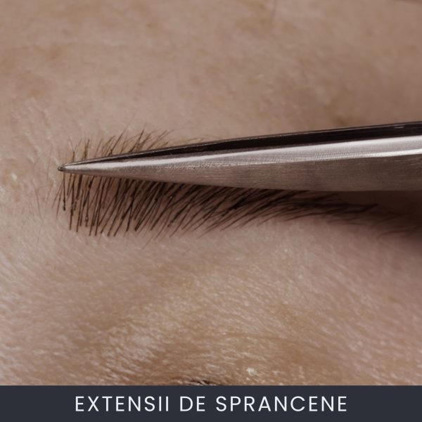 EXTENSII DE SORANCENE