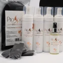 Kit pentru Aplicare Bronz Manual Kit pentru Aplicare Bronz Manual